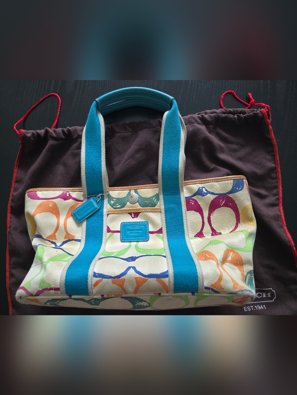 Vintage COACH Hampton Multicolor Signature Tote Bag